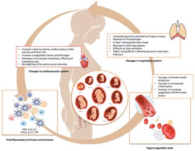 Effects of Vertical Transmission of Respiratory Viruses to the Offspring